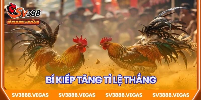 Bí kíp tăng tỉ lệ thắng khi chơi cược xiên